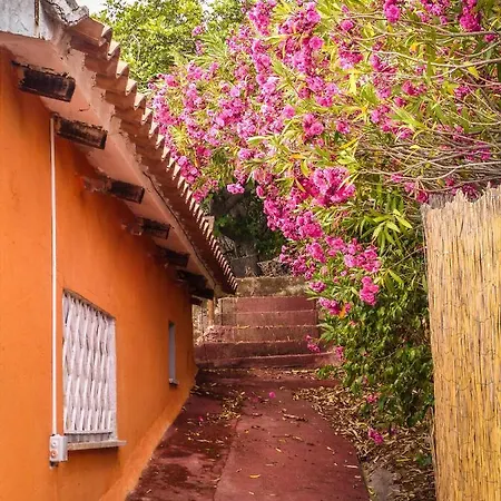 Bed & Breakfast Luna Ruja