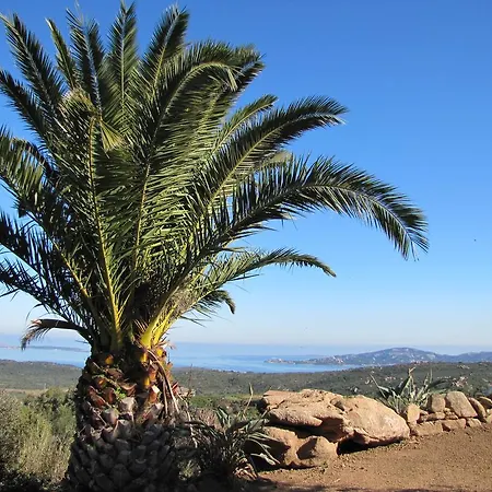 Bed & Breakfast Luna Ruja