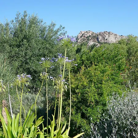 Bed & Breakfast Luna Ruja