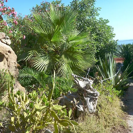 Bed & Breakfast Luna Ruja *