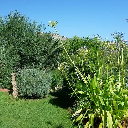Bed & Breakfast Luna Ruja