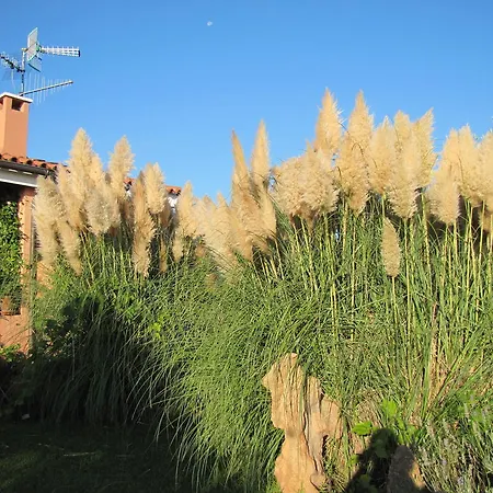 Bed & Breakfast Luna Ruja